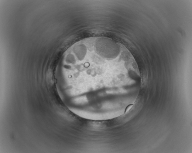 X0000114420187200911061630