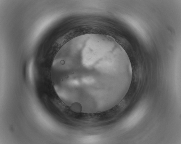 X0000114420189200911061630