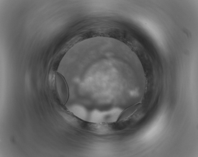 X0000114420191200911061630