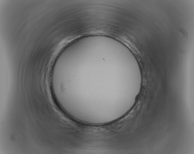 X0000114420193200911061629