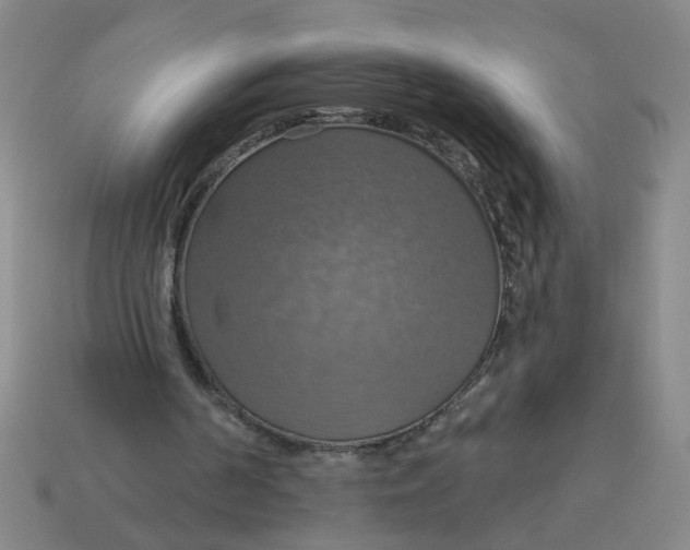 X0000114420194200911061629