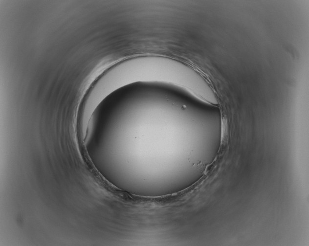 X0000114420195200911061629
