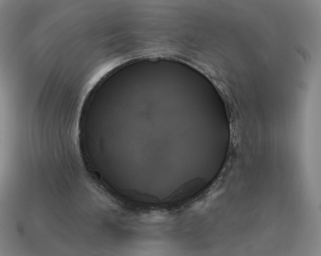 X0000114420196200911061629