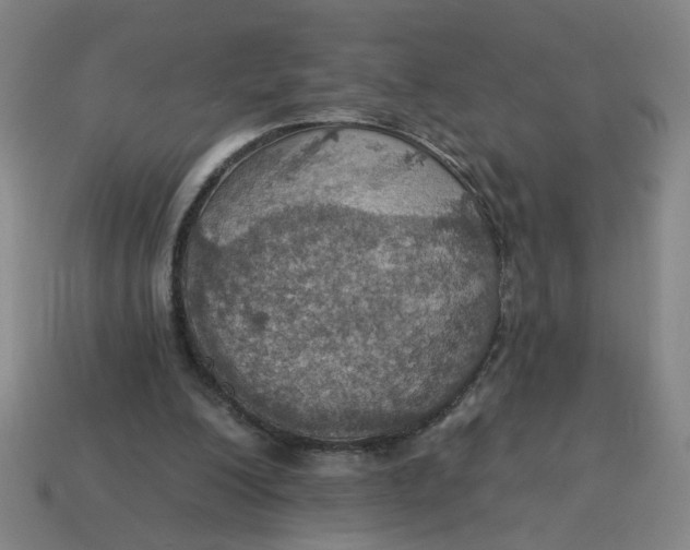 X0000114420200200911061629