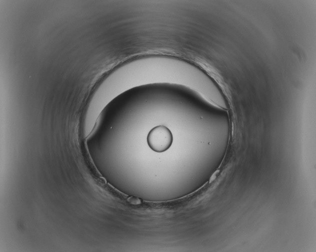 X0000114420201200911061629