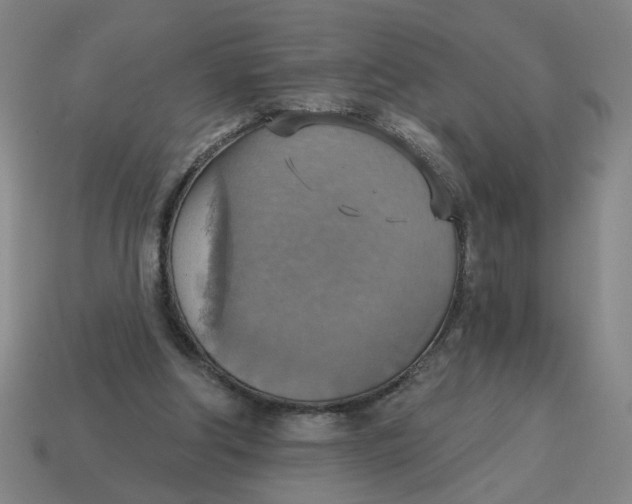 X0000114420202200911061629