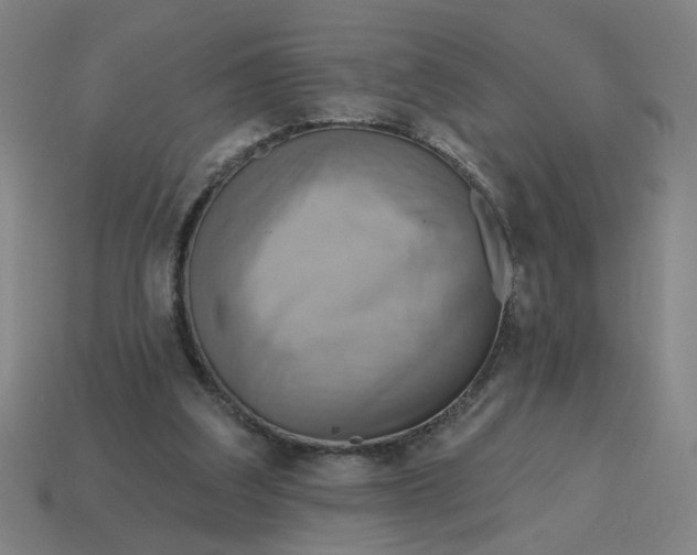 X0000114420203200911061629