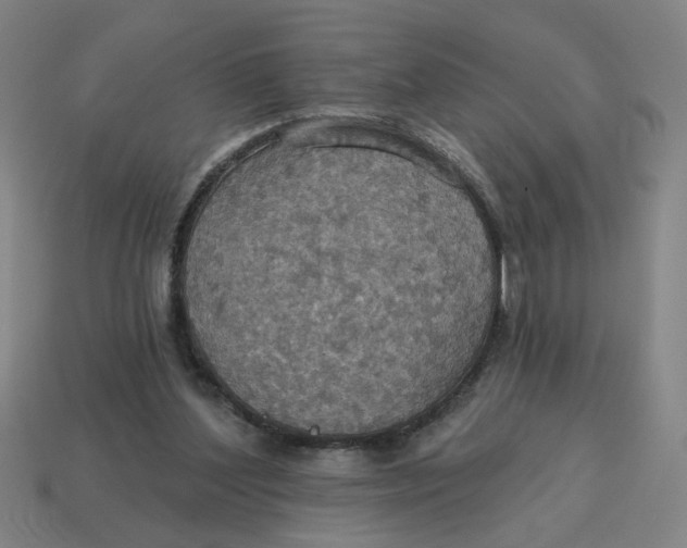 X0000114420204200911061629