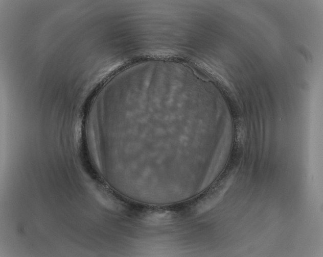 X0000114420206200911061629