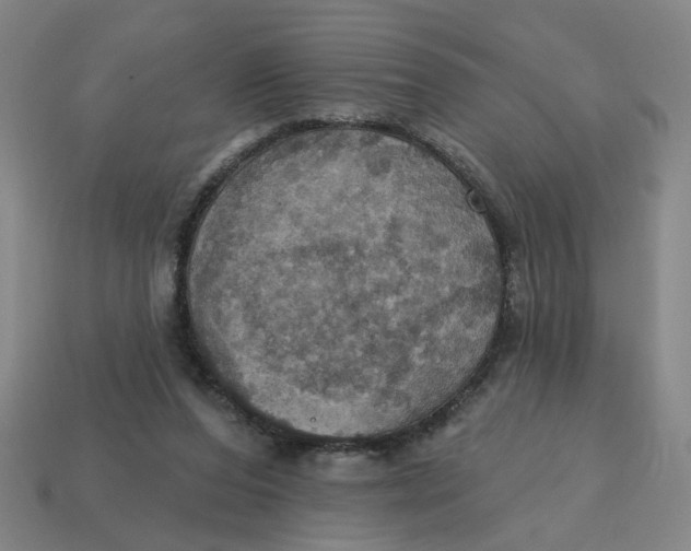 X0000114420208200911061629