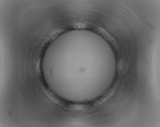 X0000114420209200911061629
