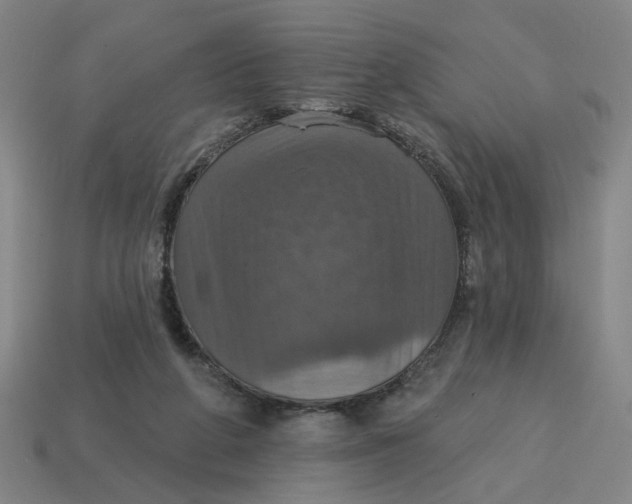 X0000114420210200911061629