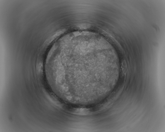 X0000114420212200911061629