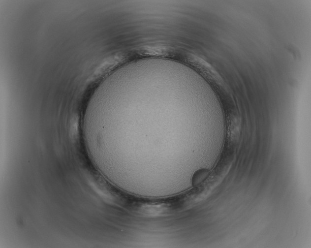 X0000114420213200911061629