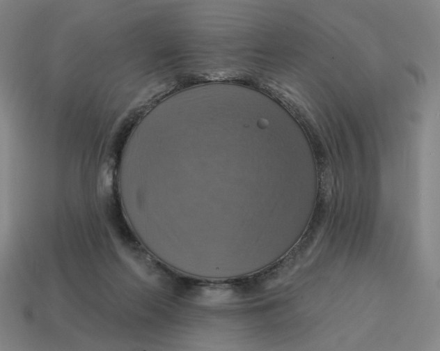X0000114420214200911061629
