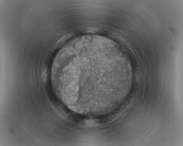 X0000114420216200911061629