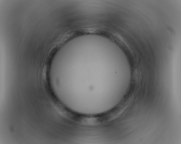 X0000114420217200911061629