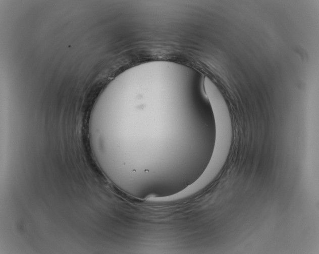 X0000114420221200911061629