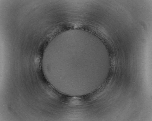 X0000114420222200911061629