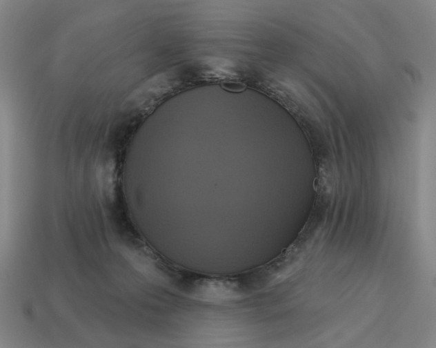 X0000114420223200911061629
