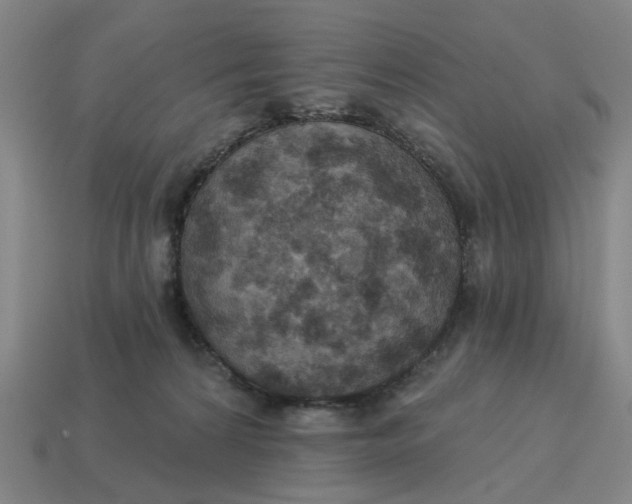 X0000114420224200911061629