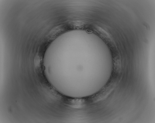 X0000114420225200911061629