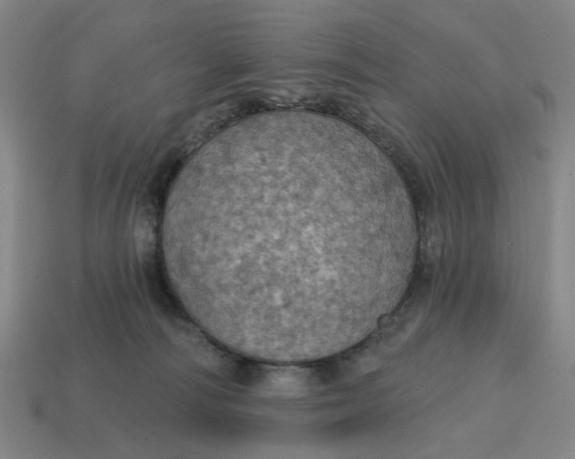 X0000114420226200911061629