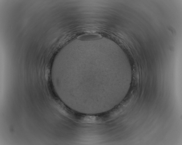 X0000114420227200911061629