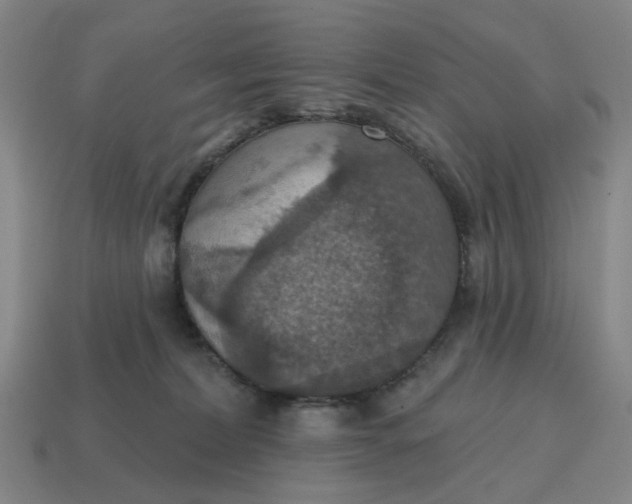 X0000114420228200911061629