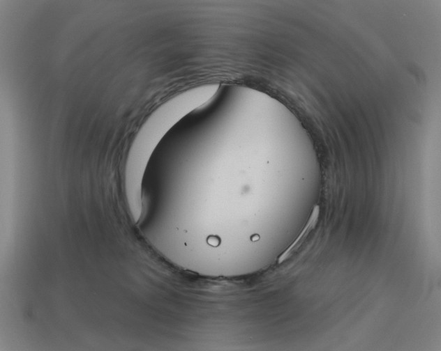 X0000114420229200911061629