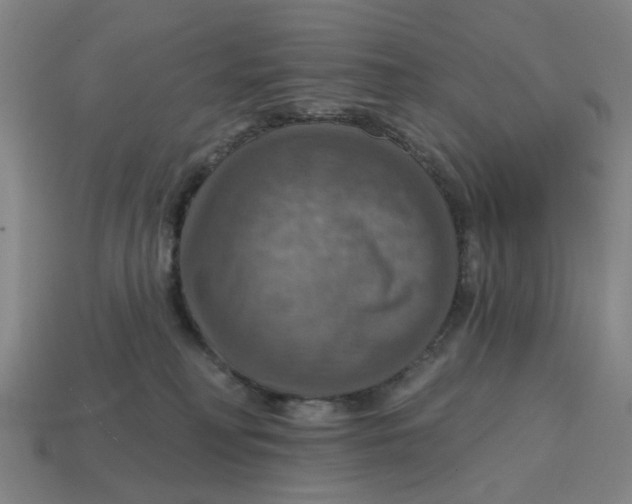 X0000114420230200911061629