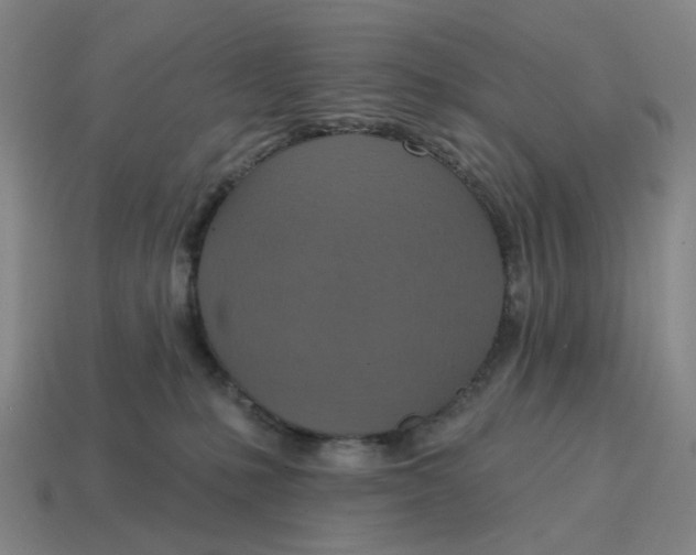 X0000114420231200911061629