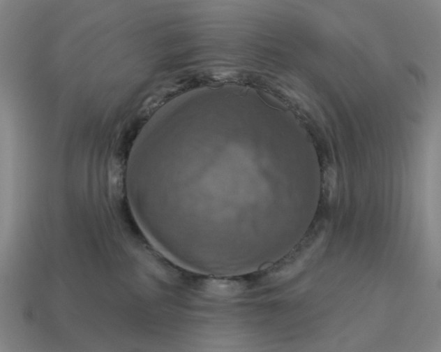 X0000114420234200911061629