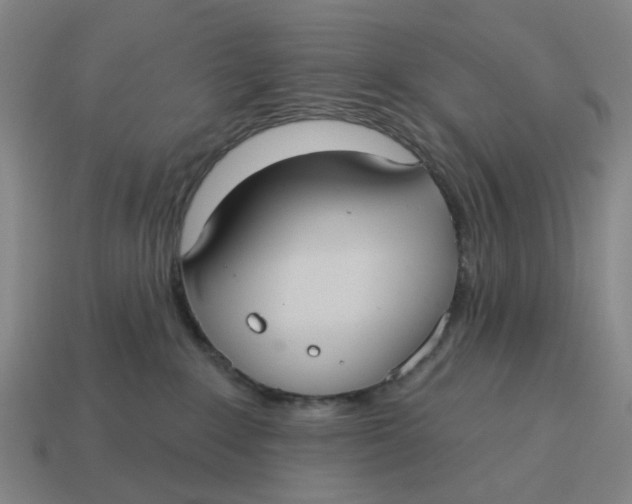 X0000114420235200911061629