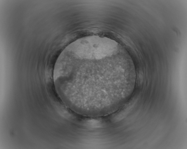 X0000114420236200911061628