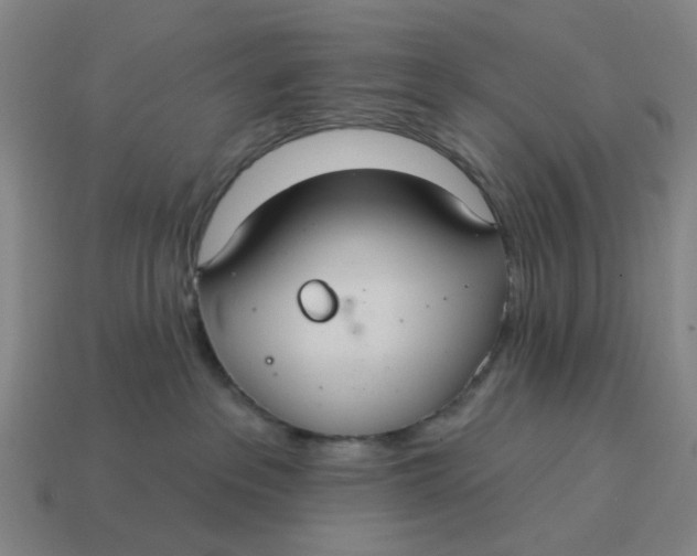 X0000114420237200911061628