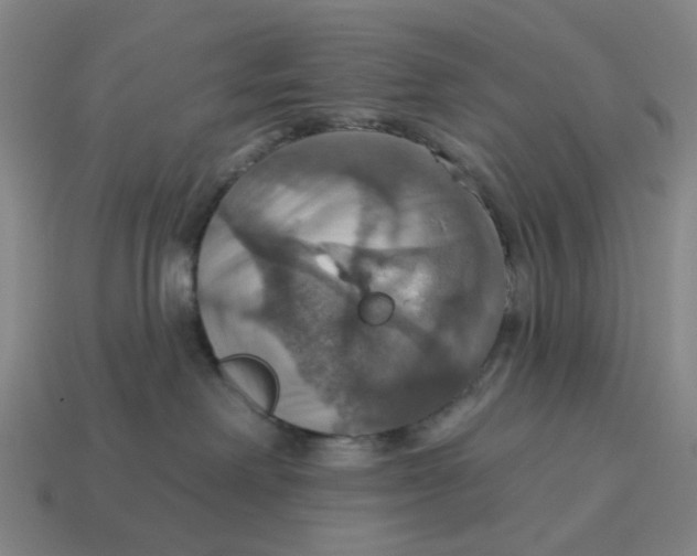 X0000114420238200911061628