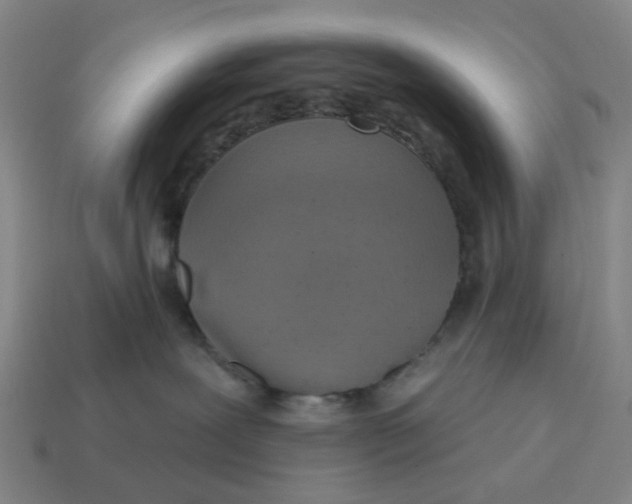 X0000114420239200911061628