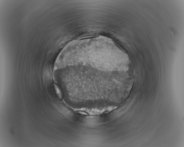 X0000114420240200911061628