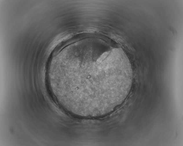 X0000114420242200911061628