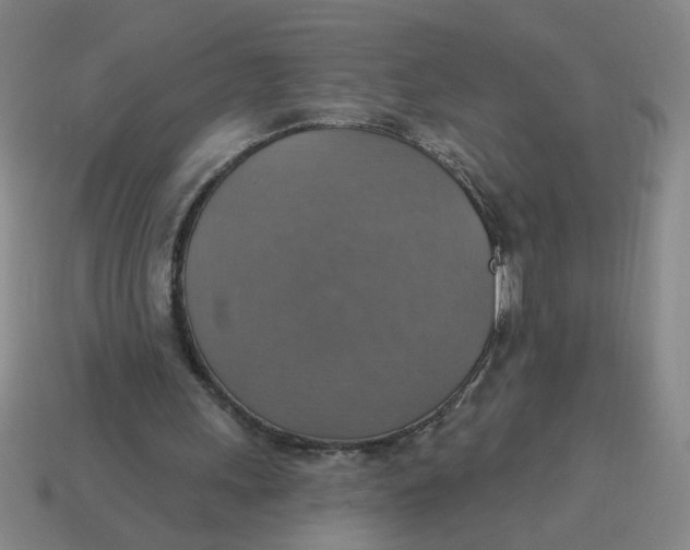 X0000114420243200911061628
