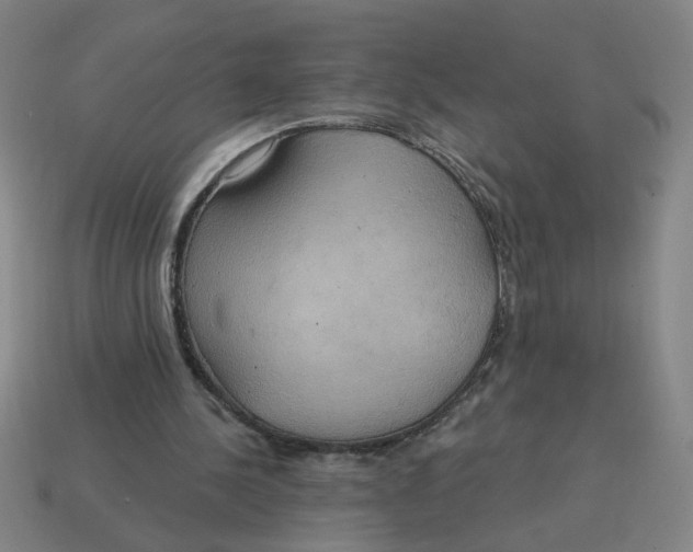 X0000114420244200911061628