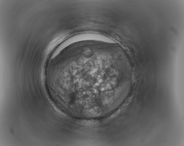 X0000114420245200911061628