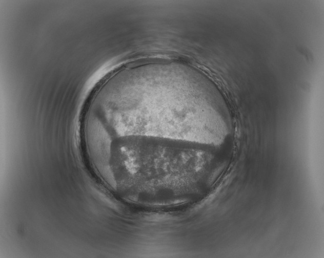 X0000114420246200911061628