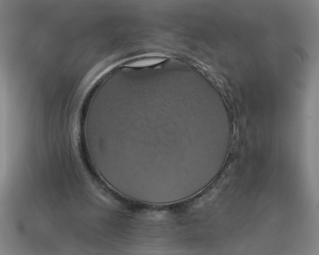 X0000114420247200911061628
