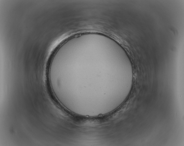 X0000114420248200911061628