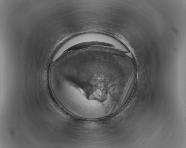 X0000114420249200911061628