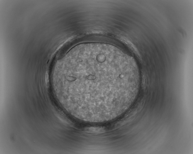X0000114420251200911061628