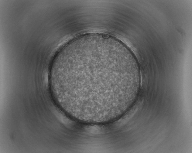 X0000114420253200911061628