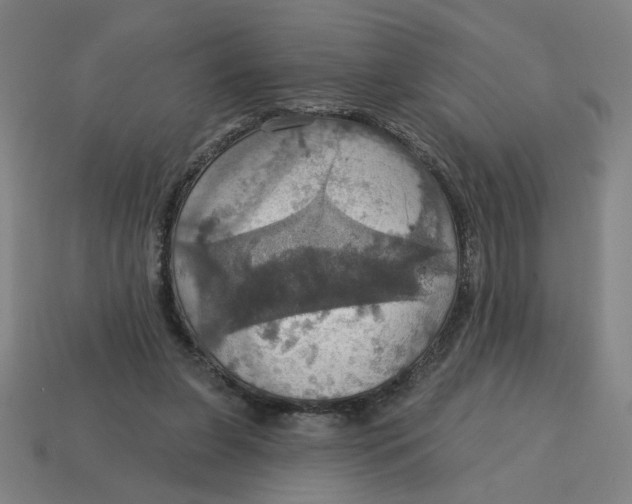 X0000114420255200911061628